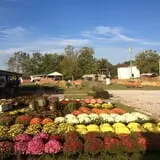 Hinton's Orchard and Farm Market Fall Fun photo