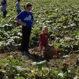 Hinton's Orchard and Farm Market Fall Fun photo