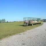 Hinton's Orchard and Farm Market Fall Fun photo