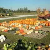 Hinton's Orchard and Farm Market Fall Fun photo