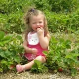 Hinton's Orchard and Farm Market Fall Fun photo