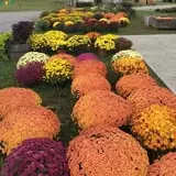 Hinton's Orchard and Farm Market Fall Fun photo