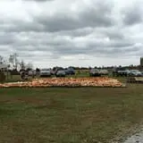 Hinton's Orchard and Farm Market Fall Fun photo