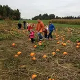 Hinton's Orchard and Farm Market Fall Fun photo