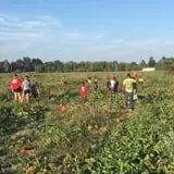 Hinton's Orchard and Farm Market Fall Fun photo