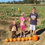 Hinton's Orchard and Farm Market Fall Fun photo