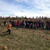 Hinton's Orchard and Farm Market Fall Fun photo