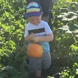 Hinton's Orchard and Farm Market Fall Fun photo