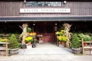 Bolton Spring Farm PYO Pumpkins and Hayride