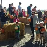 AC&D Farms photo