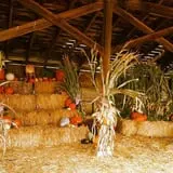 AC&D Farms photo