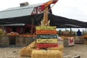 AC&D Farms