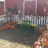 Erickson's Petting Zoo photo