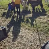 Erickson's Petting Zoo photo