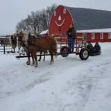 Erickson's Petting Zoo photo
