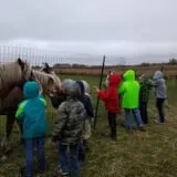 Erickson's Petting Zoo photo