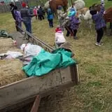 Erickson's Petting Zoo photo