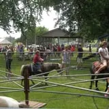 Erickson's Petting Zoo photo