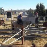 Erickson's Petting Zoo photo