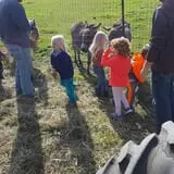 Erickson's Petting Zoo photo