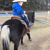 Erickson's Petting Zoo photo