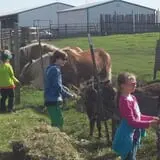 Erickson's Petting Zoo photo
