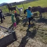 Erickson's Petting Zoo photo