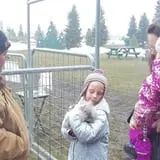 Erickson's Petting Zoo photo
