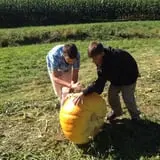 New River Corn Maze photo