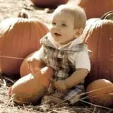 New River Corn Maze photo