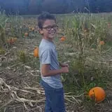 New River Corn Maze photo
