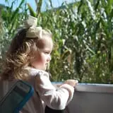 New River Corn Maze photo