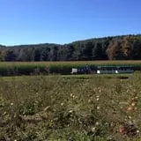 New River Corn Maze photo