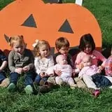 New River Corn Maze photo
