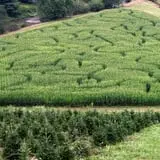 New River Corn Maze photo