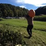 New River Corn Maze photo