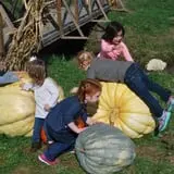 New River Corn Maze photo