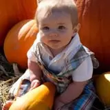 New River Corn Maze photo