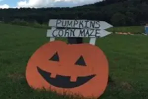 New River Corn Maze