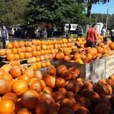 Delicious Orchards photo