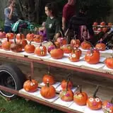 Delicious Orchards photo