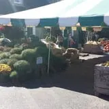 Delicious Orchards photo