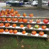 Delicious Orchards photo