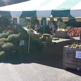 Delicious Orchards photo