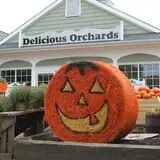 Delicious Orchards photo