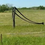 Delicious Orchards photo