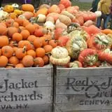 Delicious Orchards photo