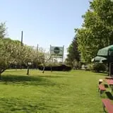 Delicious Orchards photo
