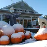 Delicious Orchards photo