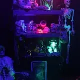 Freak Show Haunted Maze 2019